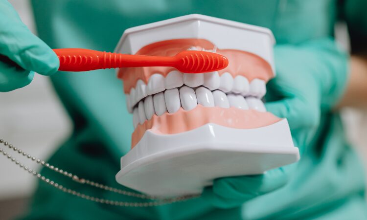 Use Your Dental Benefits Before It’s Too Late